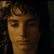 Frodo Baggins’ face as he browses Twitter for Lord Of The Rings discussions.